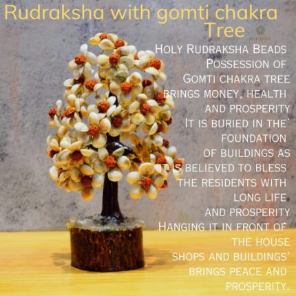 Rudraksha with Gomti Chakra Tree